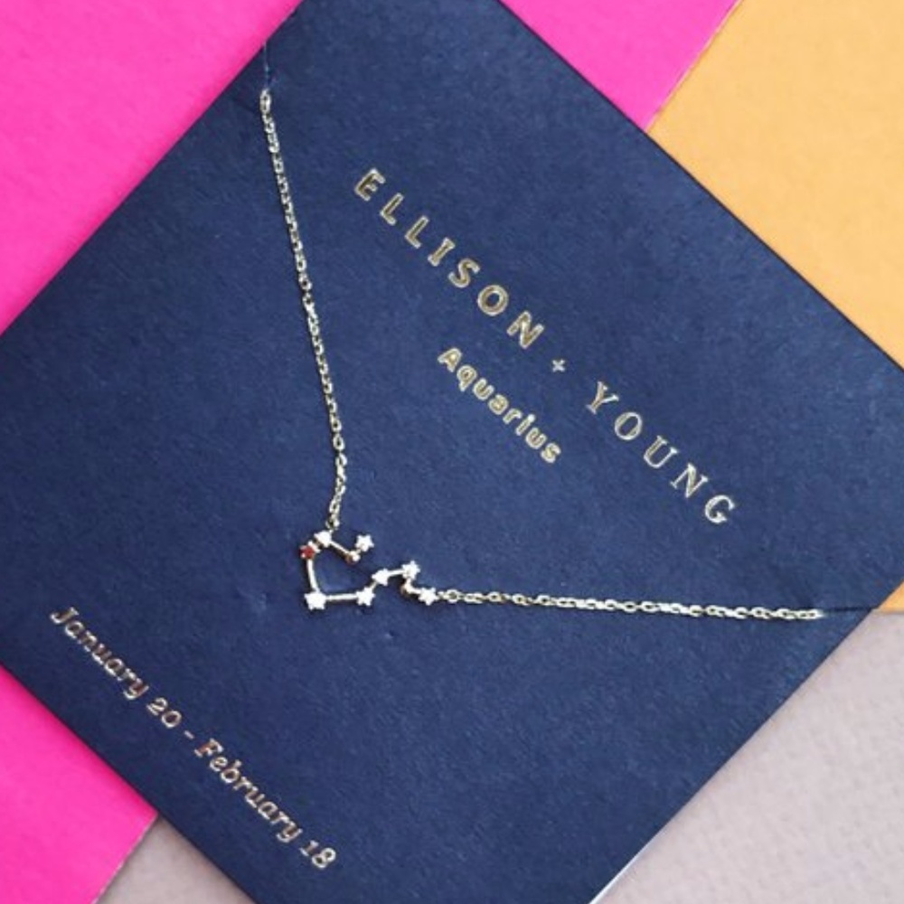 Zodiac Collection Aquarius Necklace