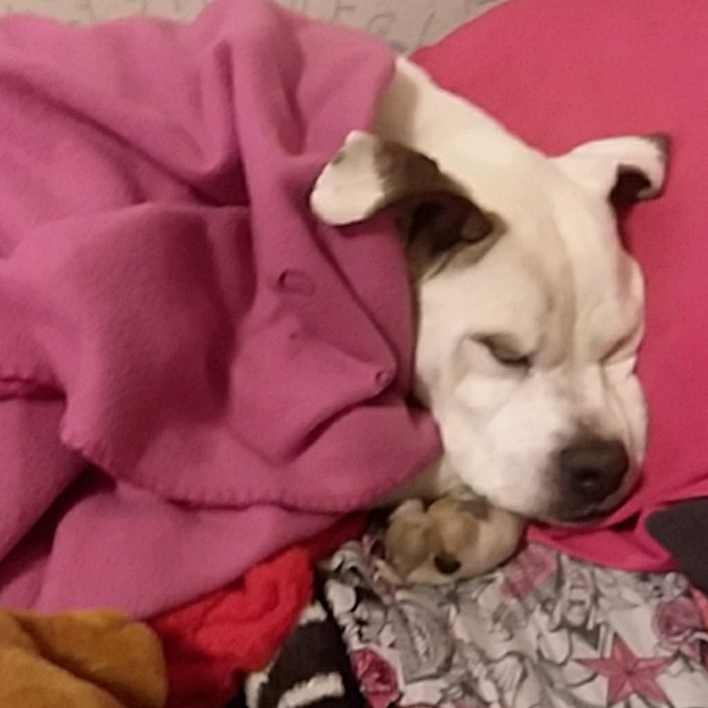 Meet your Posher, Julie