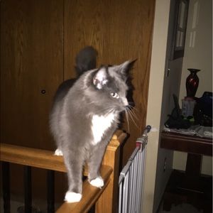 Meet your Posher, Sydney