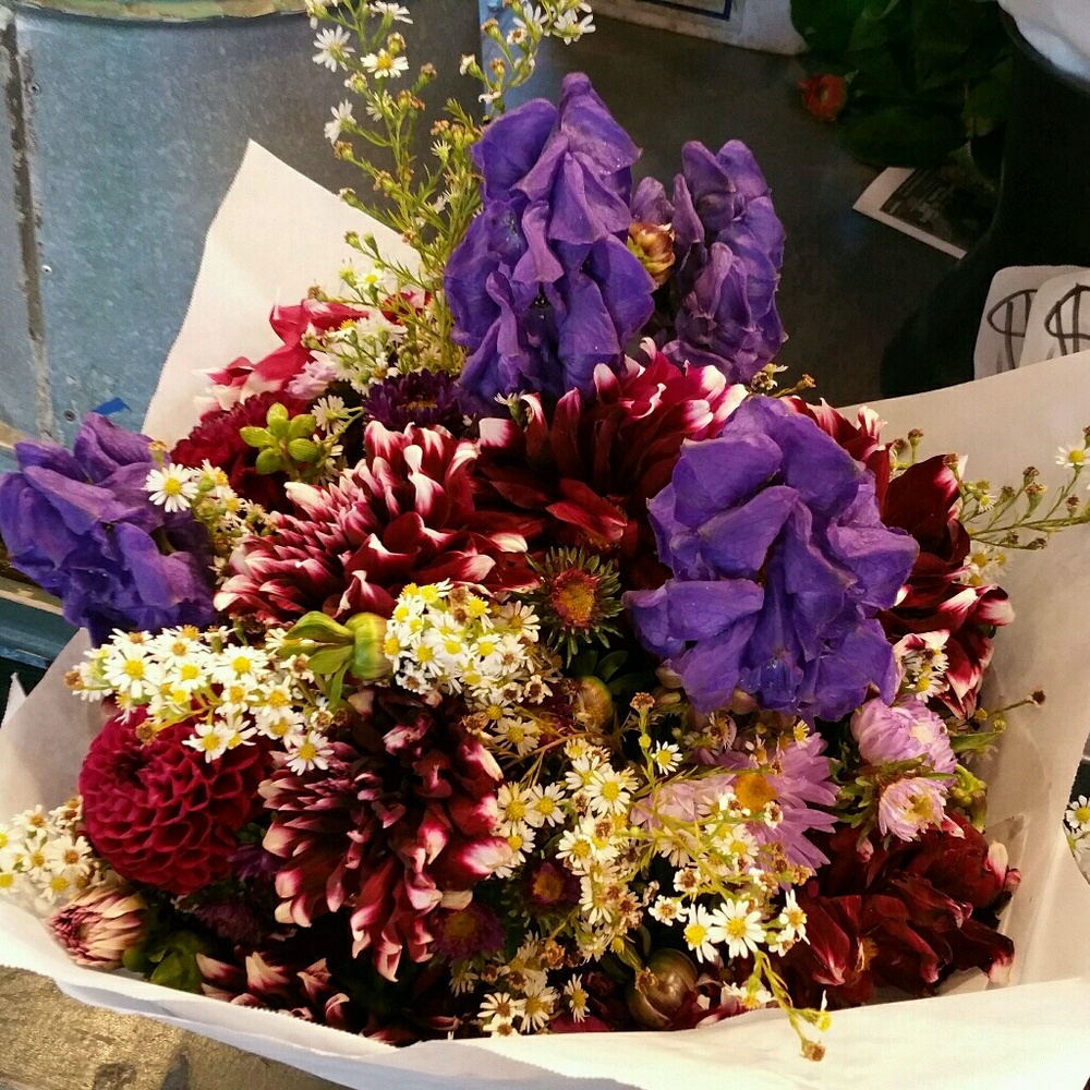 Meet your Posher, Teresa