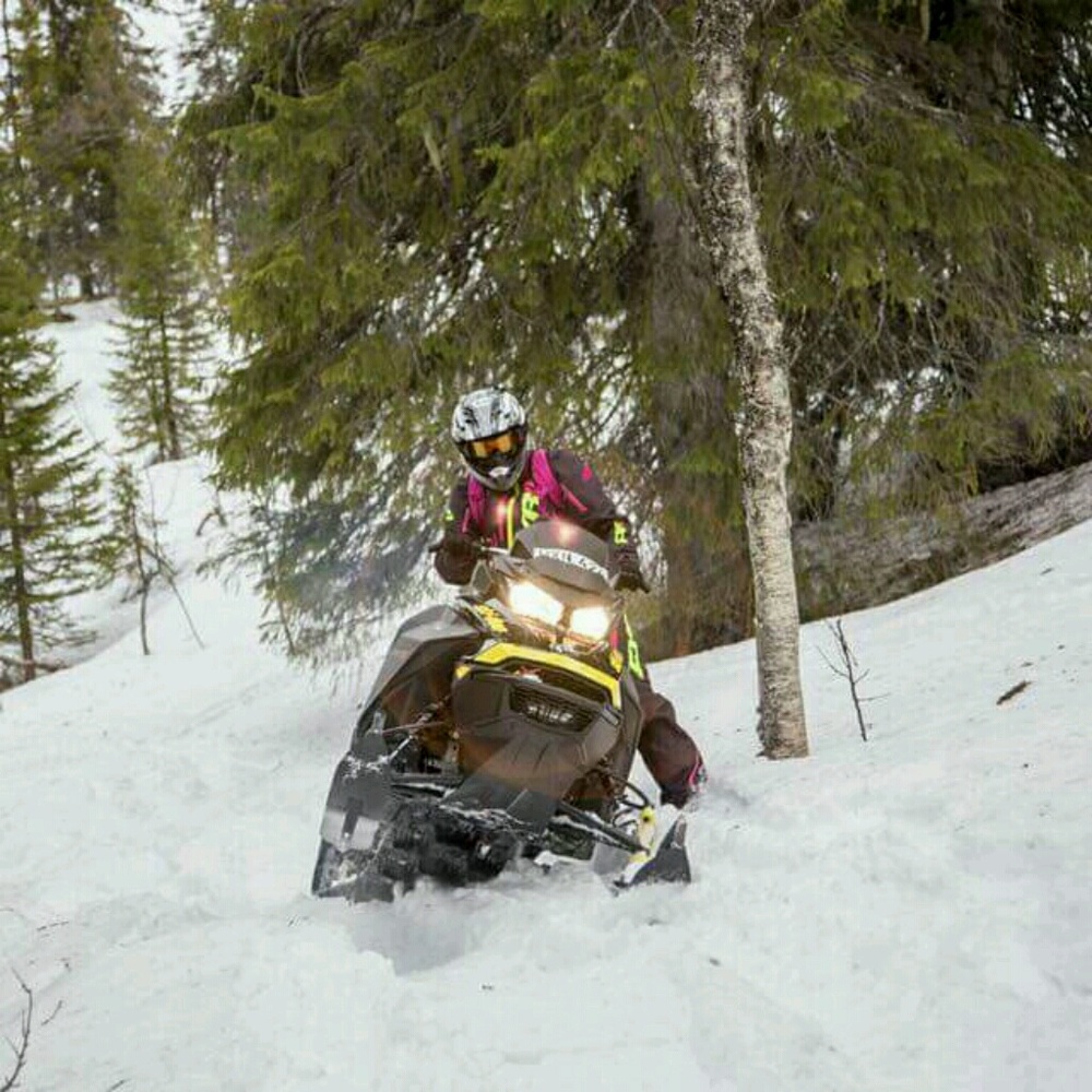 Meet your Posher, Cynthia