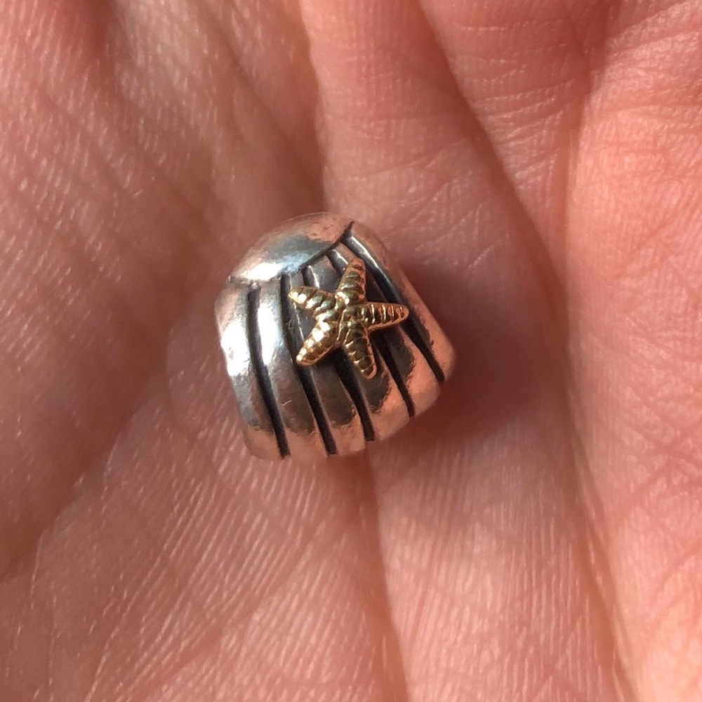 Pandora charm