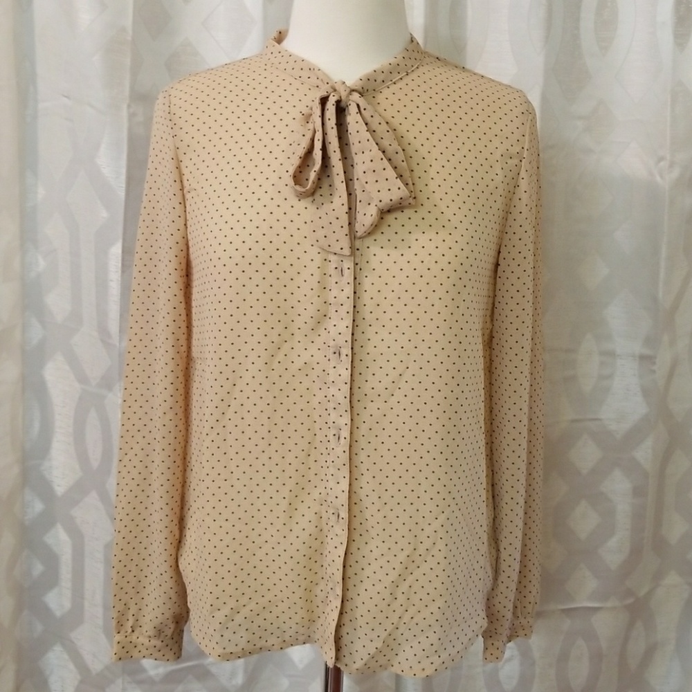 F21 Shear Medium Top
