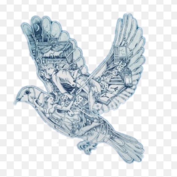 Meet your Posher, David - Picture 1 of 1