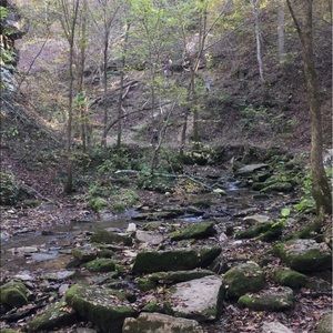 Meet your Posher, Kara