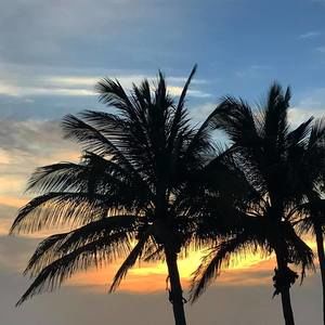 Meet your Posher, Jake