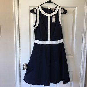 Banana Republic Navy/White Dress