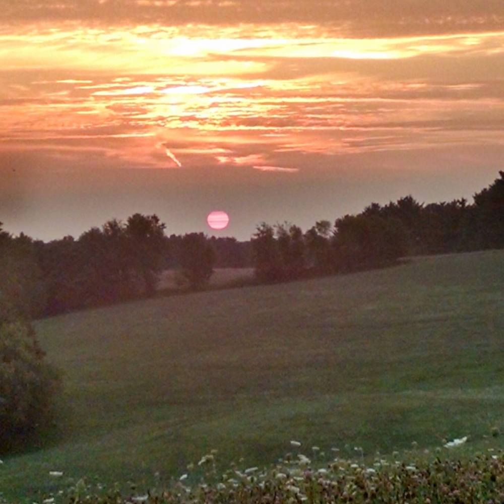 Meet your Posher, Dawn