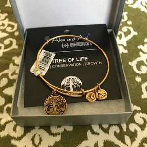 Alex and Ani bracelet