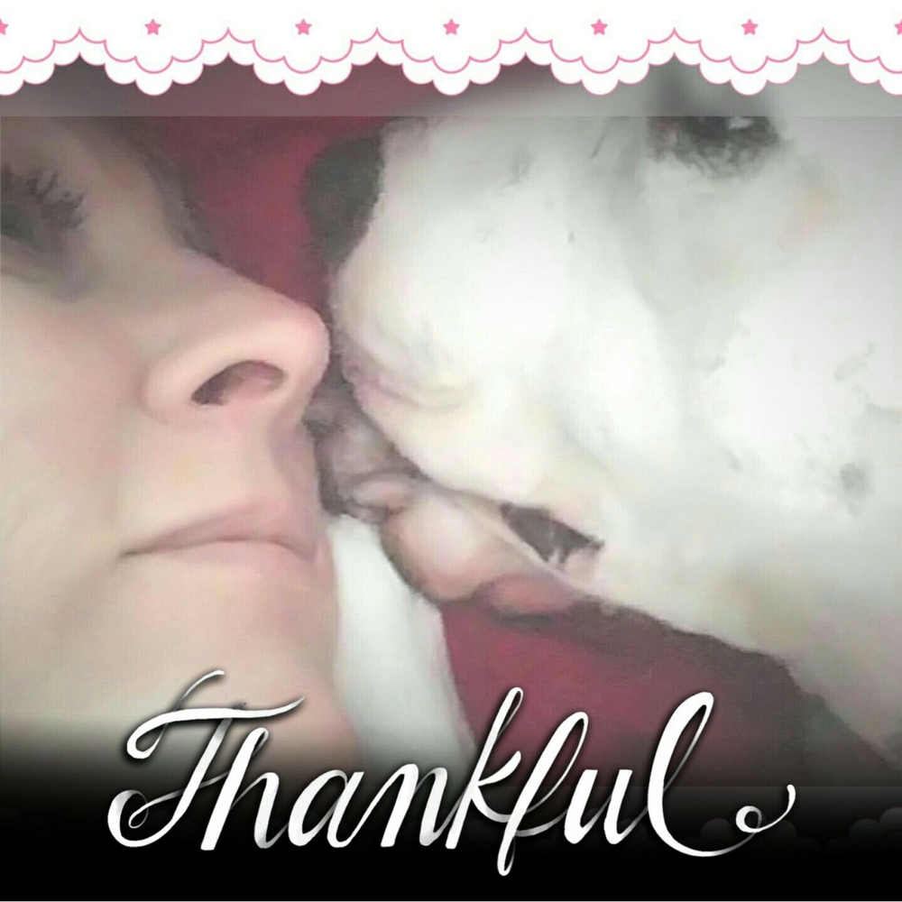 Meet your Posher, Catherine