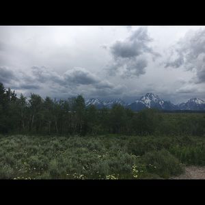 Meet your Posher, Matt