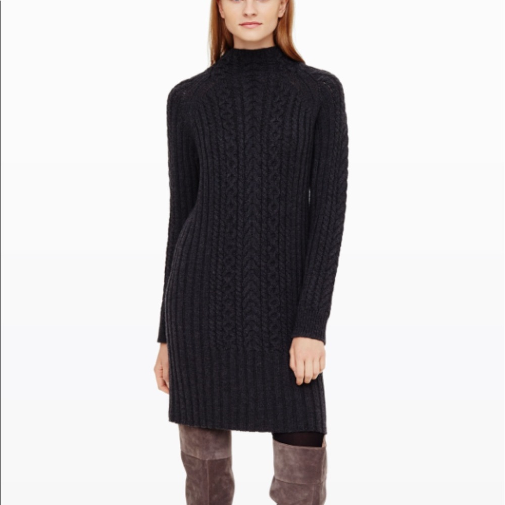 Club Monaco Simonya Dress