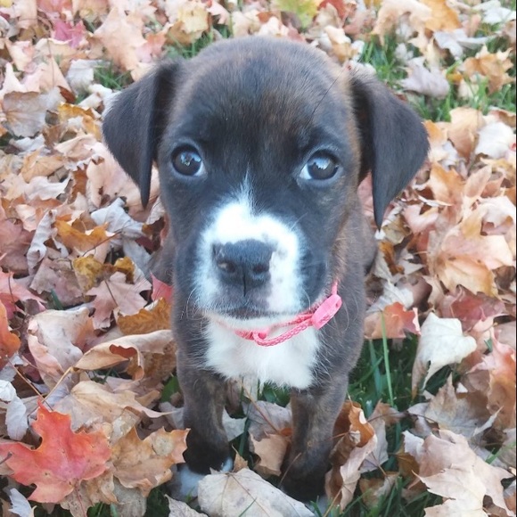 Meet your Posher, Allyssa - Picture 1 of 1