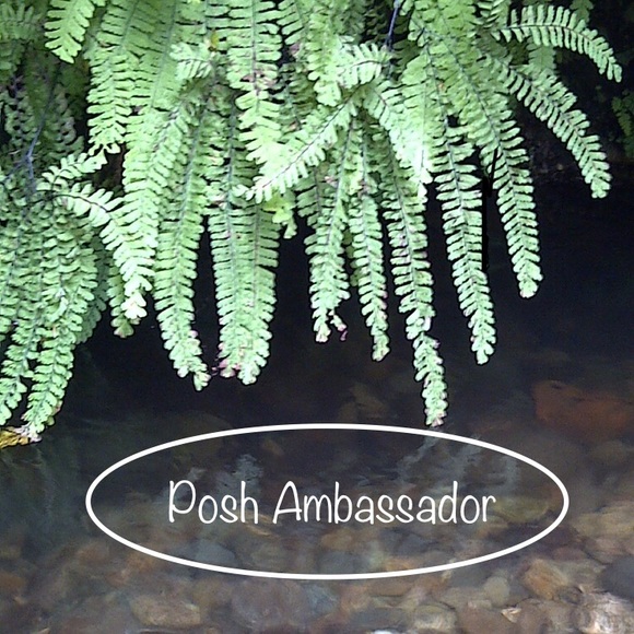 🌿Posh Ambassador🌿 - Picture 1 of 1