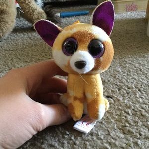 Ty Pablo the chihuahua