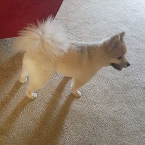 Meet your Posher, Damian