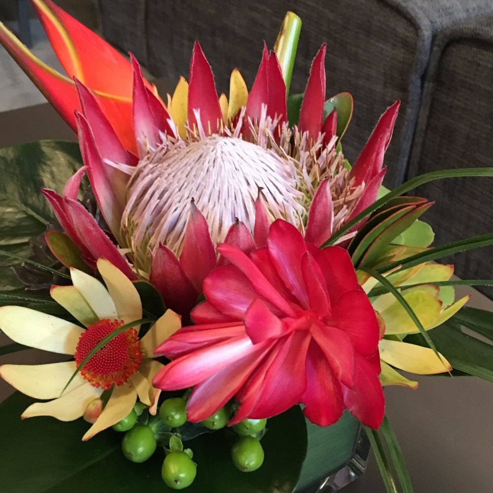 Meet your Posher, Annika