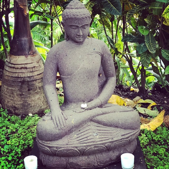 Meet your Posher, Renee - Picture 4 of 4