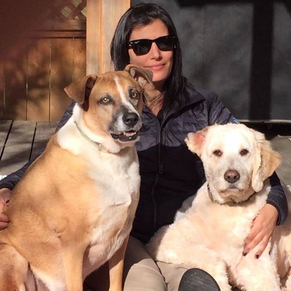 Meet your Posher, Rachelle