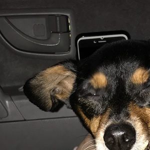 Meet your Posher, Jayme