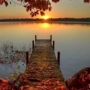 Meet your Posher, Vickie