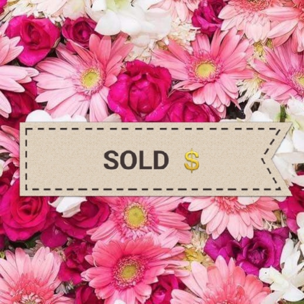 💲SOLD PAST THIS POINT💲