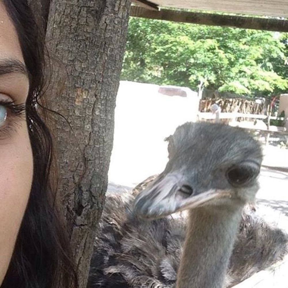 Meet your Posher, Alicia