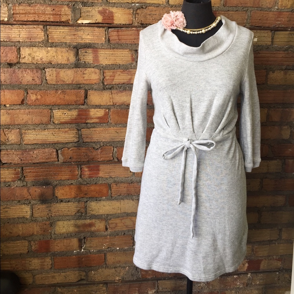 Anthro Saturday Sunday gray sweatshirt dress