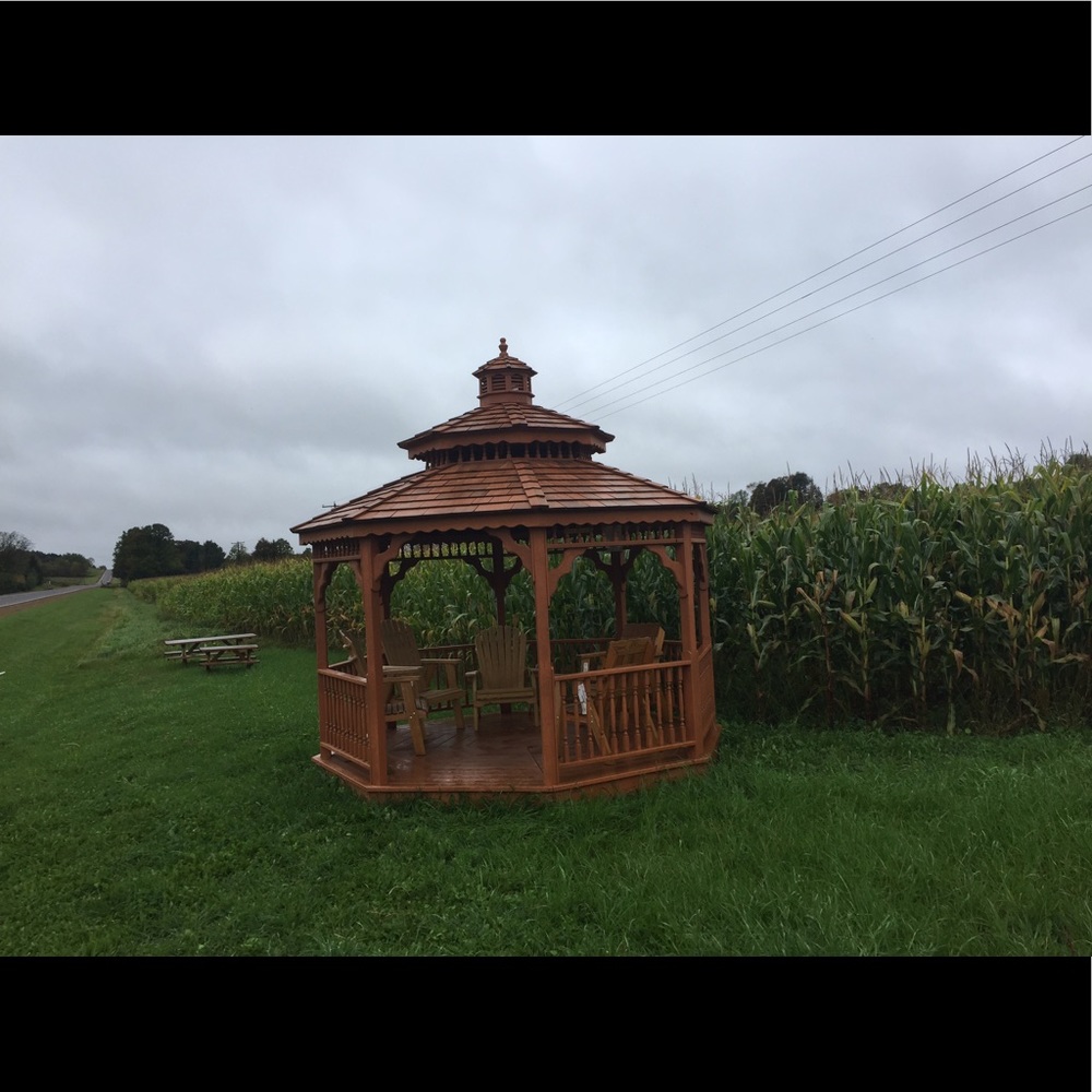 Meet your Posher, Jodi