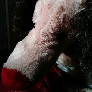 Meet your Posher, Alesha