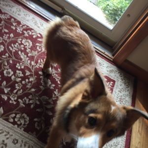 Meet your Posher, Jake