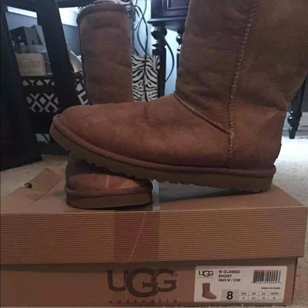 Chestnut Uggs