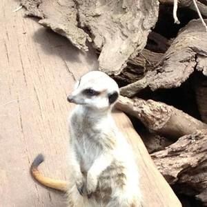 Meet your Posher, Ernania