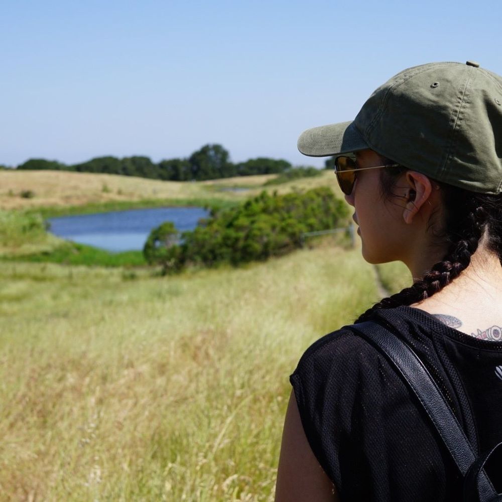 Meet your Posher, Lily