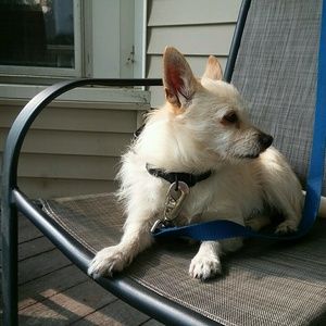 Meet your Posher, Karen