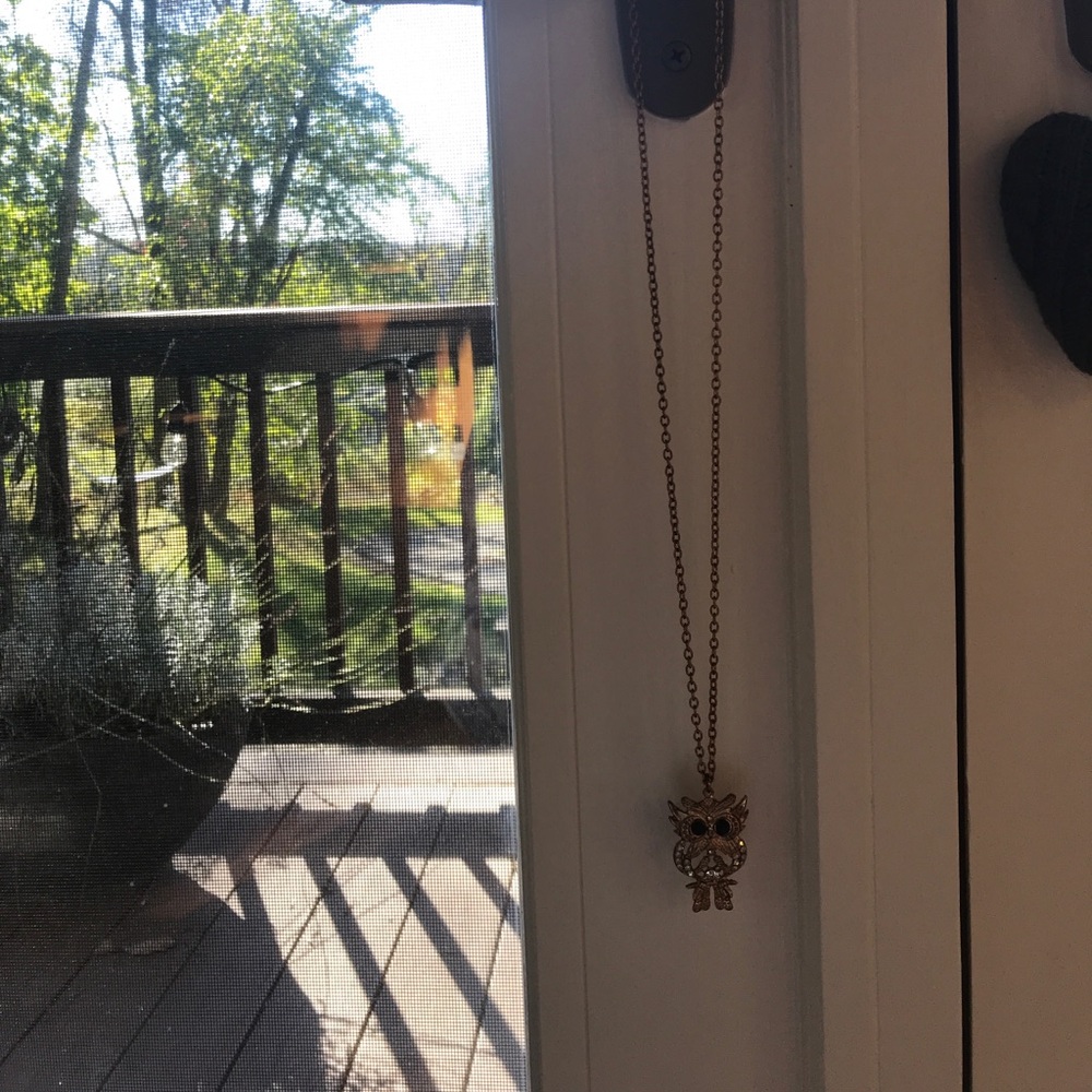 Gold owl necklace 🦉