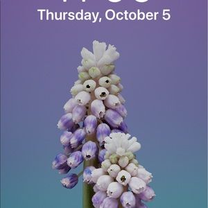 Meet your Posher, Norma