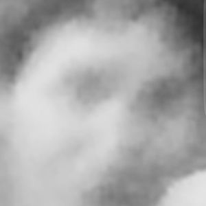 Meet your Posher, Jared