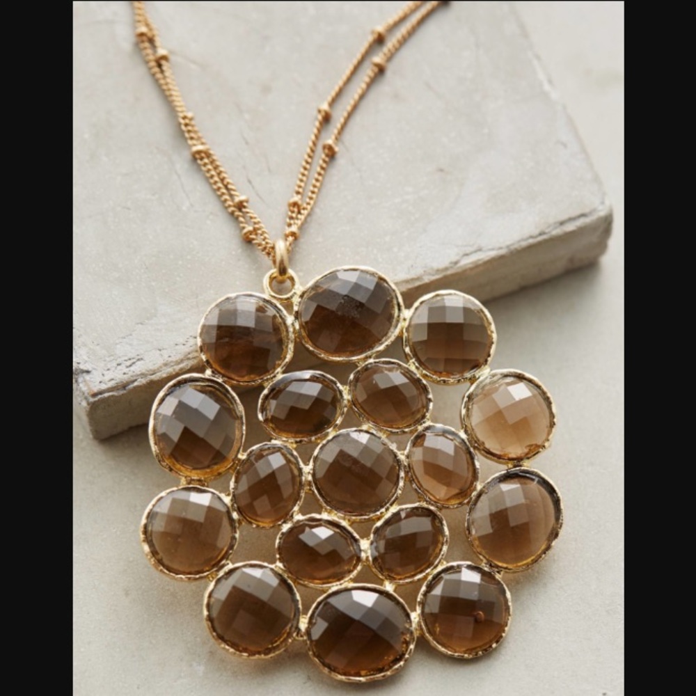 NWT Anthropologie Annemette Pendant in Brown