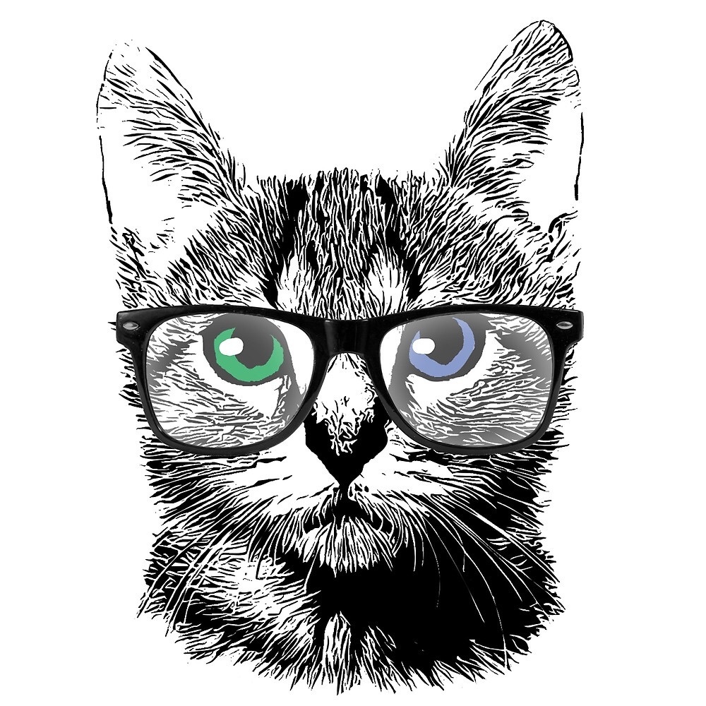 Meet your Posher, Andi