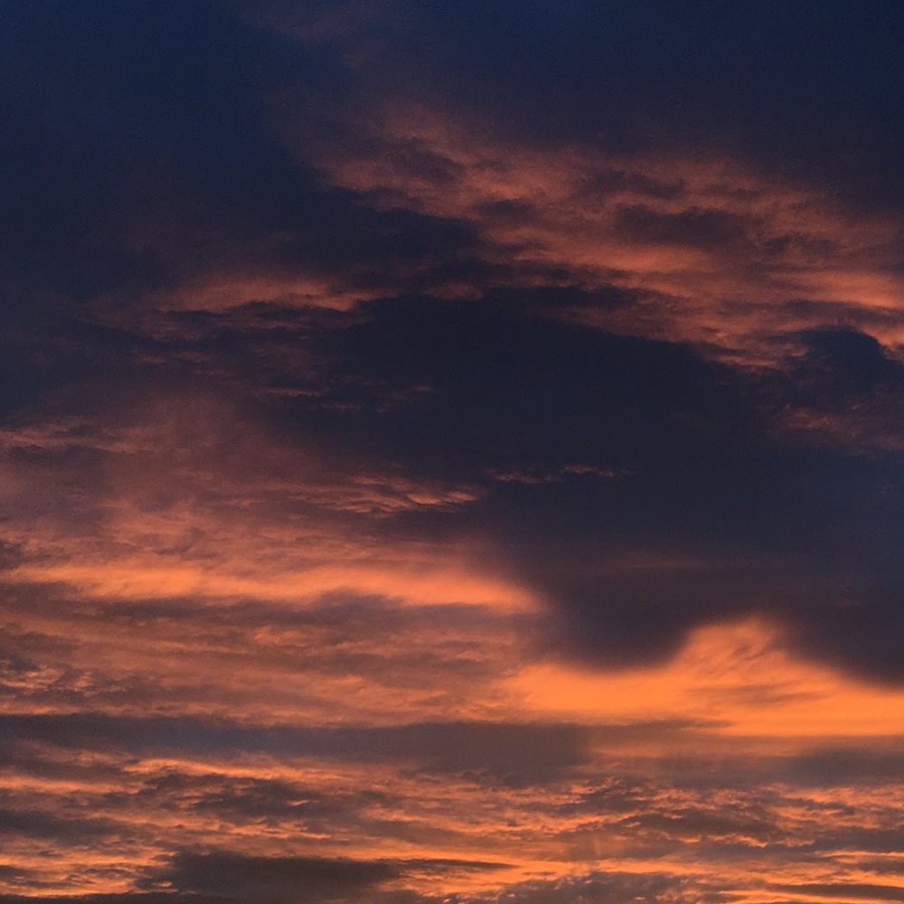 Meet your Posher, Karrington