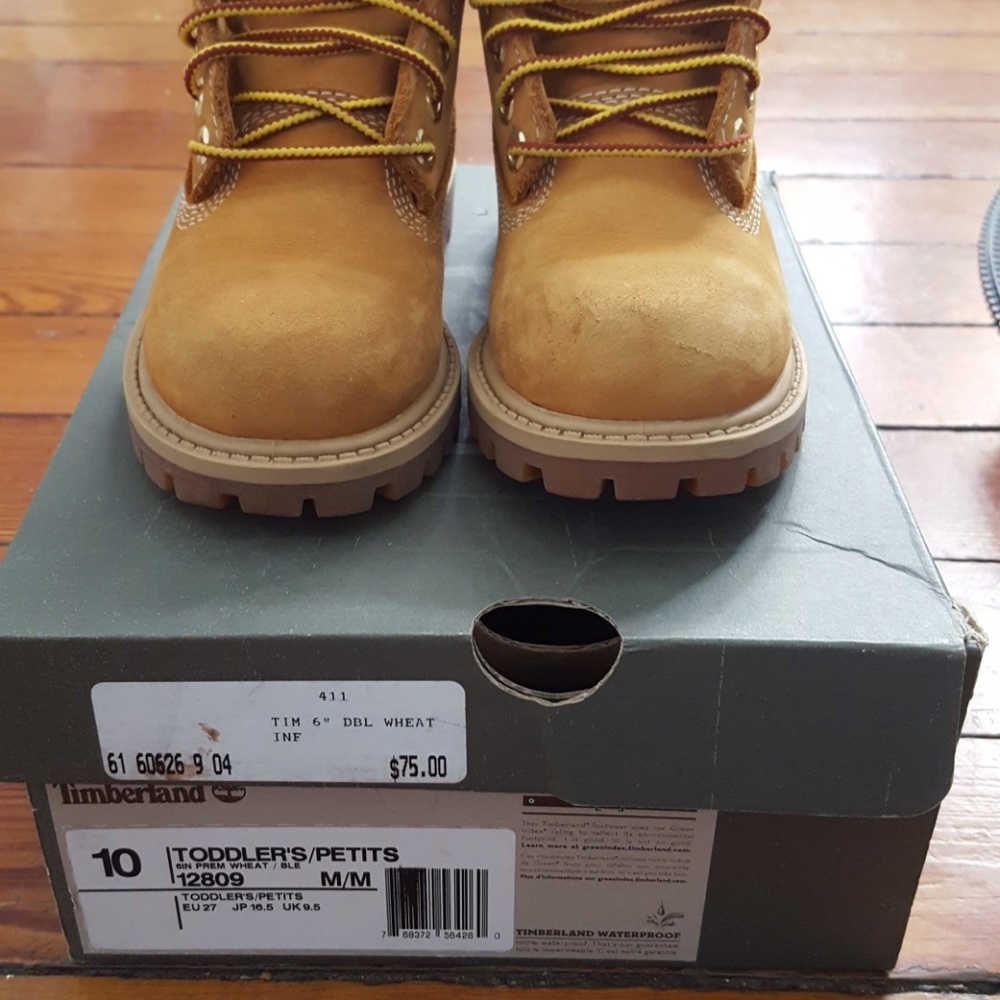 Boys Timberland Boots with Original box!