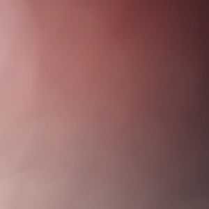 Meet your Posher, Brady