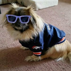 Meet your Posher, Marilyn