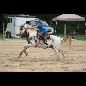 Meet your Posher, Sophia