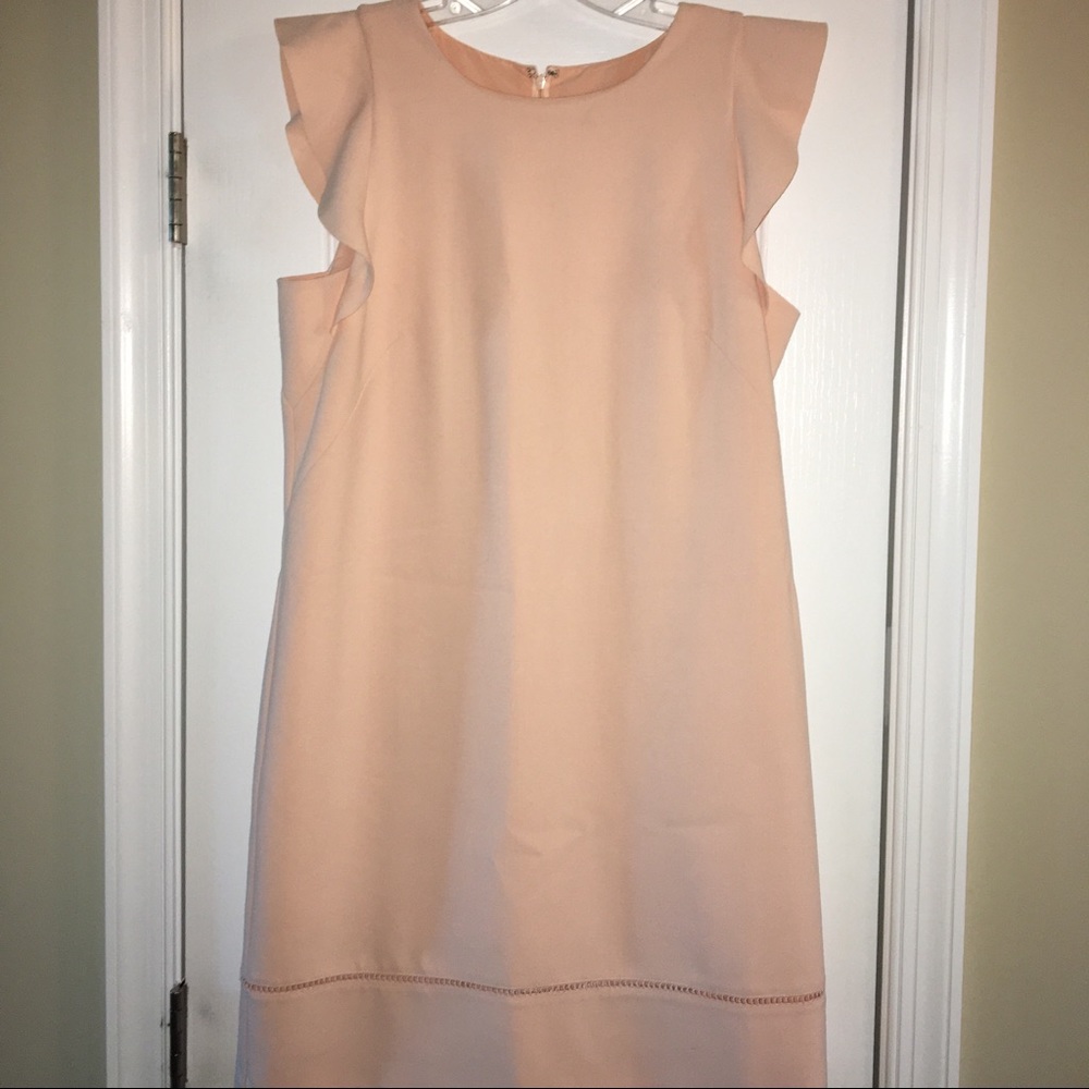 Loft Pink Chiffon Dress