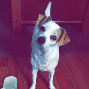 Meet your Posher, Marisa