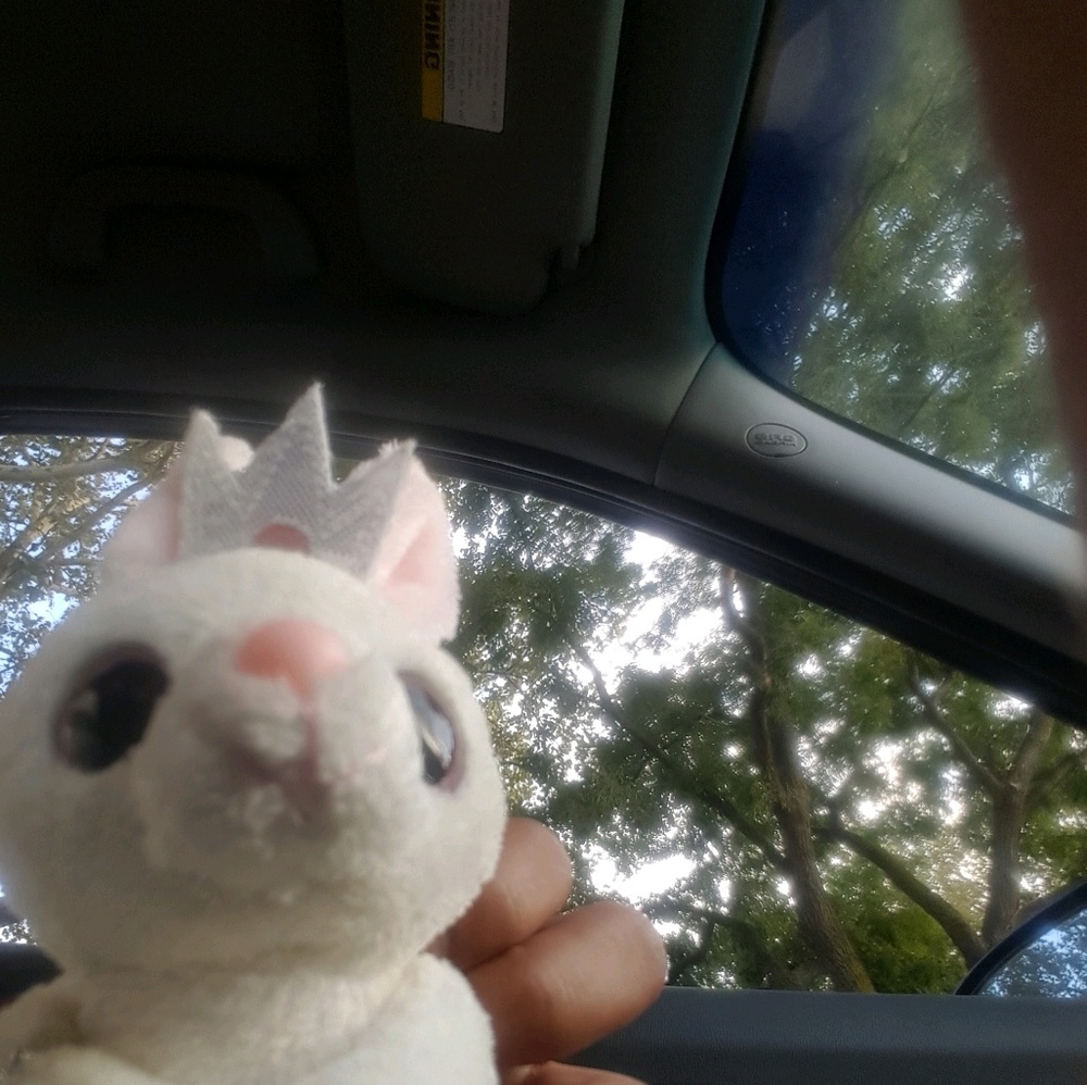 Meet your Posher, Michelle