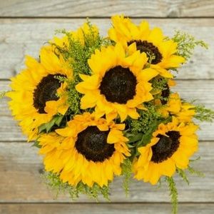 Meet your Posher, Sumaiya