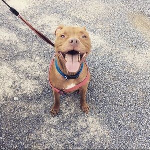 Meet your Posher, Alexis